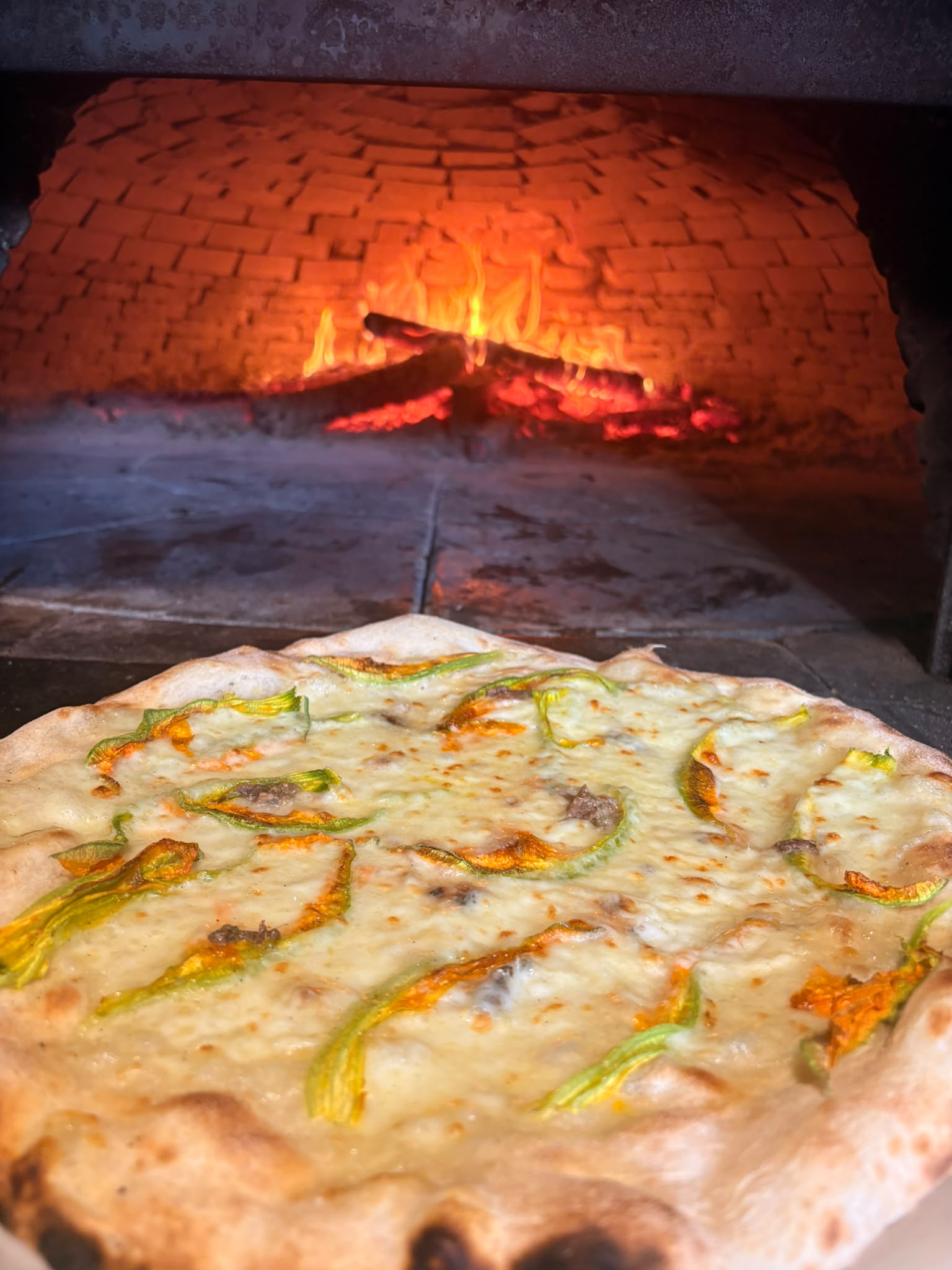 Contessa doria con fiori di zucca